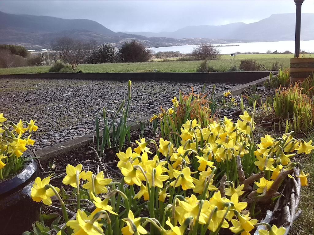 Currane Lodge Waterville Eksteriør bilde